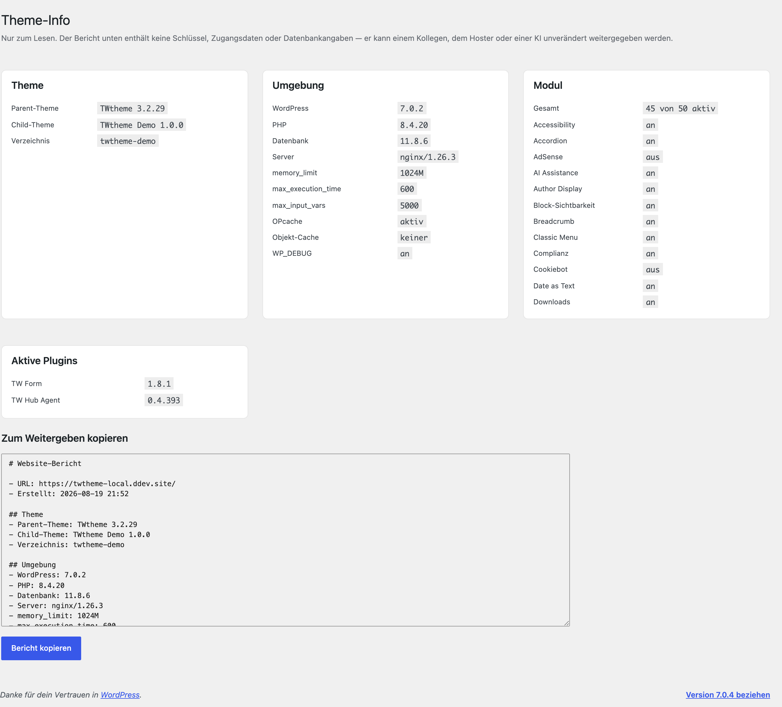 Die Seite Theme → Info mit Versionen, Modulzustand und Supportbericht